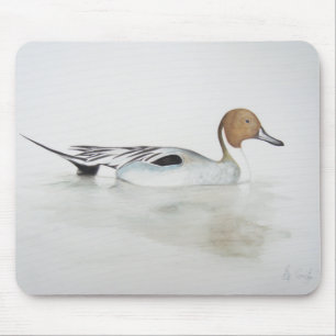 Pintail Duck 2011 Mouse Pad