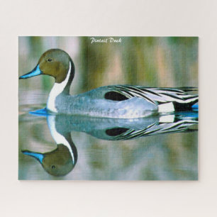 Pintail Duck Jigsaw Puzzle