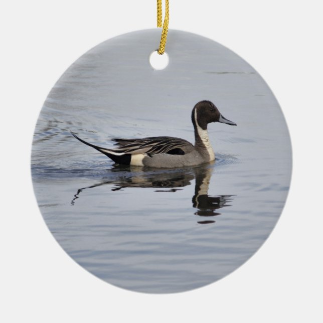 Pintail Duck Ornament (Front)
