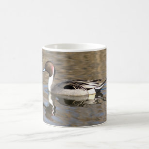 Pintail Duck Swims In A Pond Coffee Mug