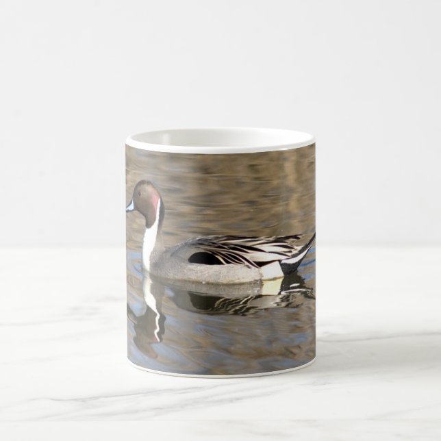 Pintail Duck Swims In A Pond Coffee Mug (Center)
