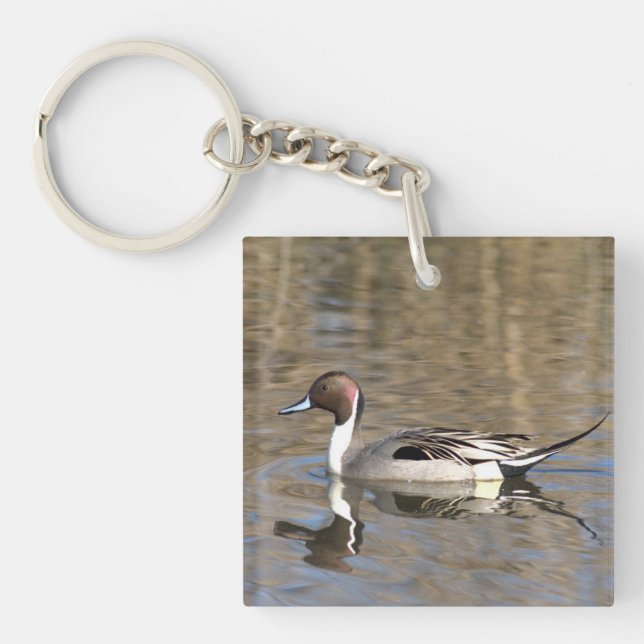 Pintail Duck Swims In A Pond Key Ring (Front)