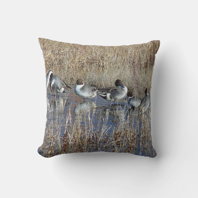 Pintail Ducks Birds Pillow (Front)