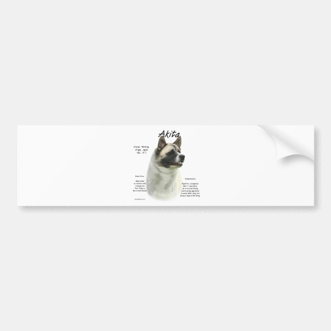 Pinto Akita History  Bumper Sticker (Front)