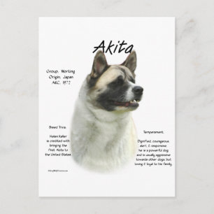 Pinto Akita History Postcard