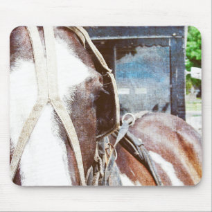 Pinto Amish Buggy Horse Mouse Pad