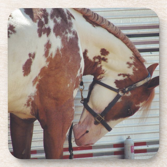 Pinto Coaster (Front)