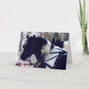 Pinto Draught Horse Team, Christmas Holiday Card