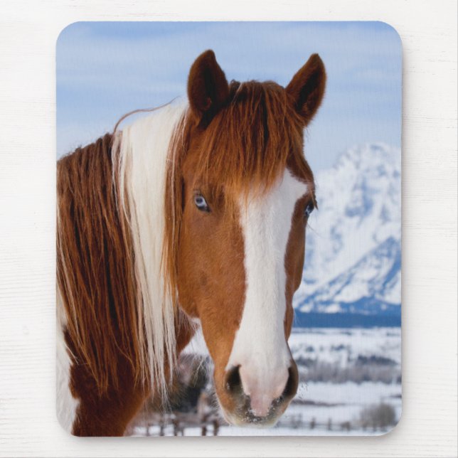 Pinto Horse Mount Moran in Winter Mouse Pad (Front)