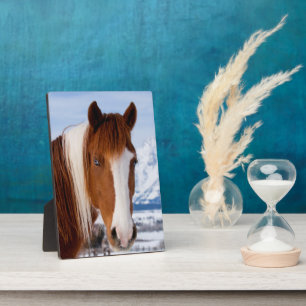 Pinto Horse Mount Moran in Winter Plaque