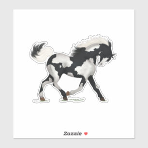 PInto Horse Paint Pony Piebald Overo Equestrian