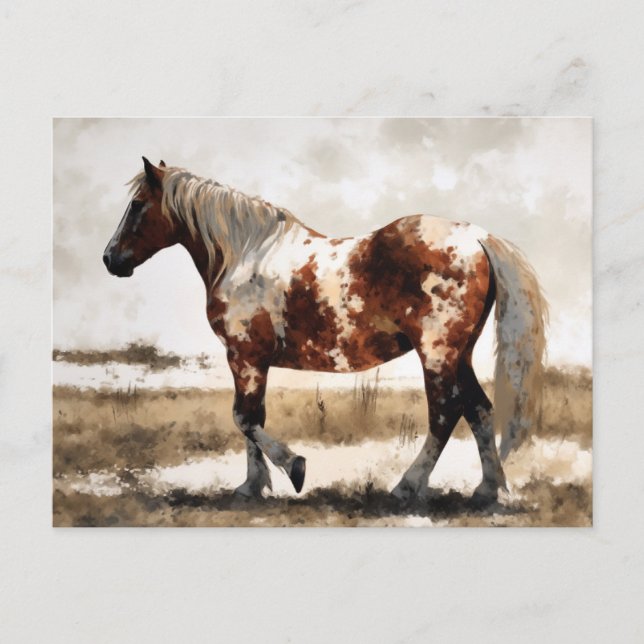Pinto Horse Watercolor Postcard (Front)