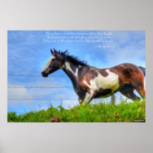 Pinto Paint & Clouds Ranch Horse w Poem Photo Poster
