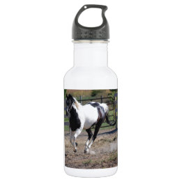 Pinto Paint Horse 532 Ml Water Bottle