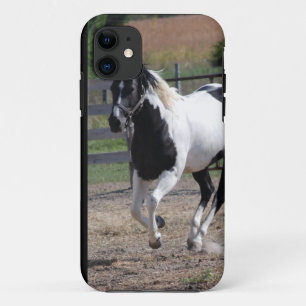 Pinto Paint Horse iPhone 11 Case