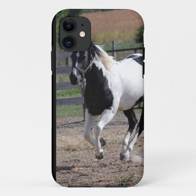 Pinto Paint Horse Case-Mate iPhone Case (Back)
