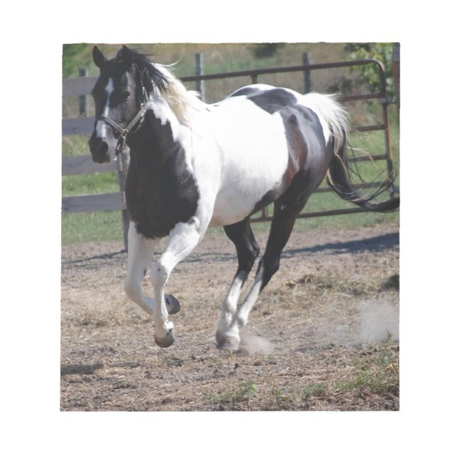 Pinto Paint Horse Notepad (Front)