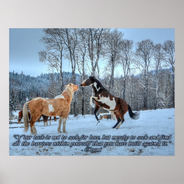 Pinto Paint Stallions, Snow & Rumi Quote Poster (Front)