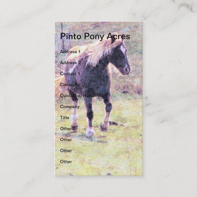 Pinto Pony Business Card (Front)