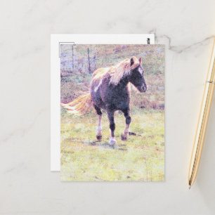 Pinto Pony Postcard