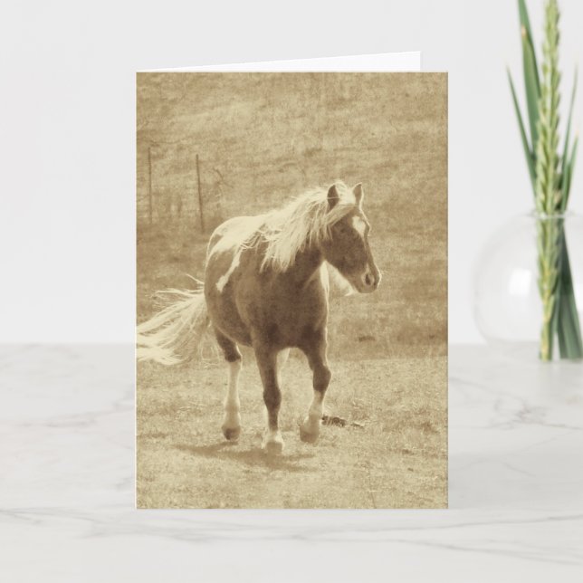 Pinto Pony Sepia Card (Front)
