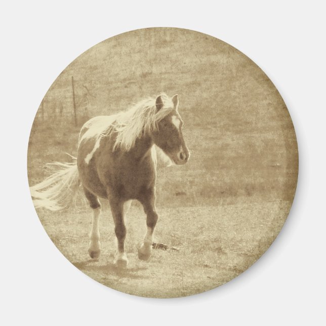 Pinto Pony Sepia Magnet (Front)
