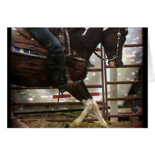 Pinto Western