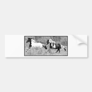 Pintos Galloping, Customisable Bumper Sticker