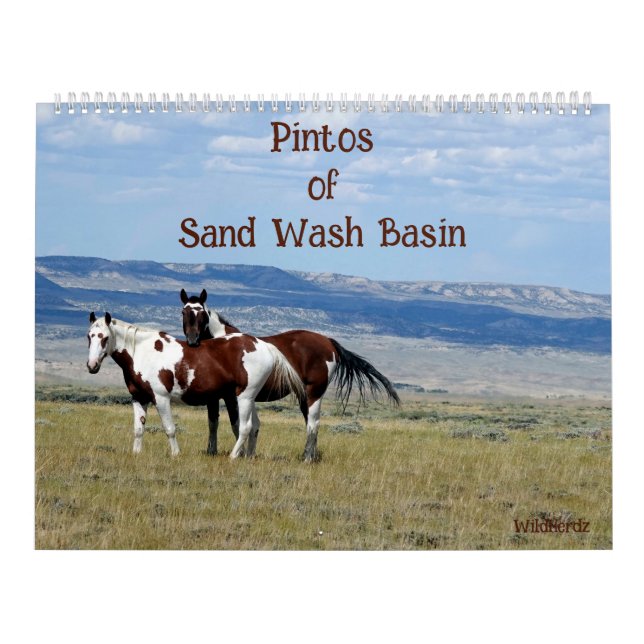 Pintos of Sand Wash Basin Calendar (Cover)