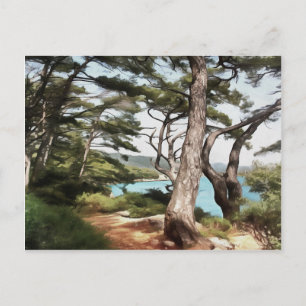 Pinus pinea Pine Tree Forest Painting  Postcard