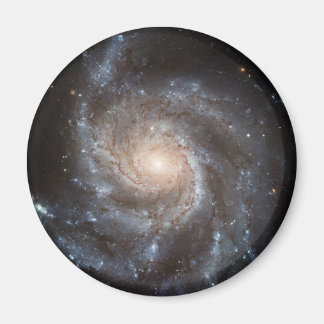 Pinwheel Galaxy Magnet