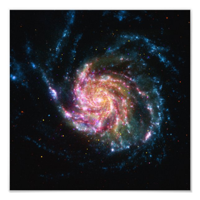 Pinwheel Galaxy Spiral Space Photo Print (Front)
