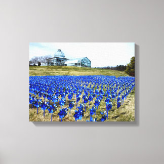 Pinwheels Garden LGBG Richmond VA Canvas Print
