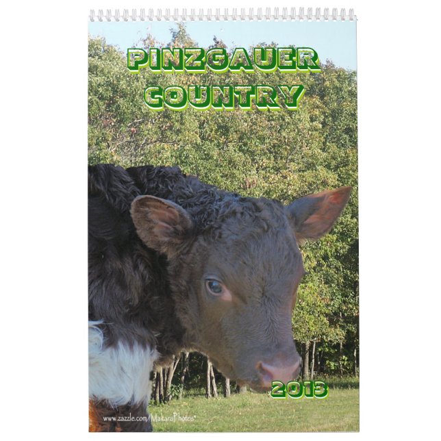 Pinzgauer 2013 Cattle Calendar- personalise Calendar (Cover)
