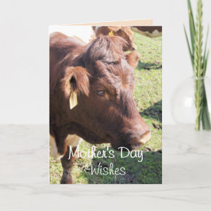 Pinzgauer 8374 Mother's Day-or make any occasion Thank You Card
