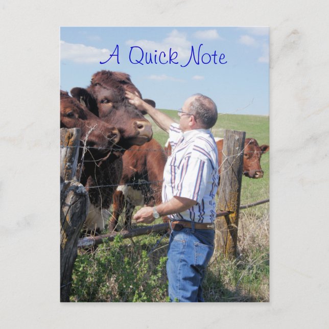 Pinzgauer Bull & Cows- customise Postcard (Front)