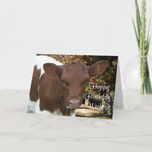 Pinzgauer calf Tansy-customise any occasin Card