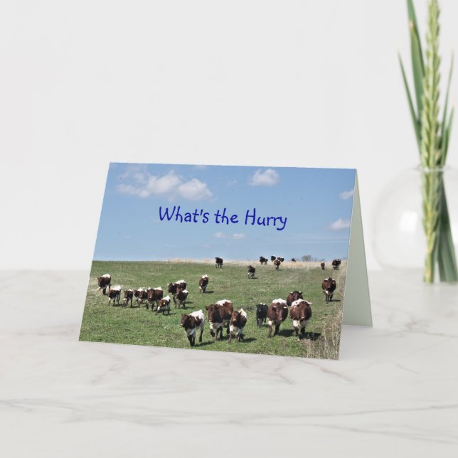 Pinzgauer Cattle Herd 8372 -customise any occasion Thank You Card (Front)