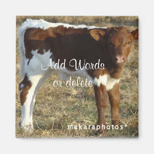Pinzguar Calf Square Magnet -customise