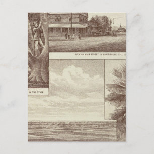 Pioneer Land Co tract, Porterville Postcard