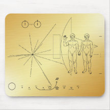 Pioneer Plaque  Adam & Adam