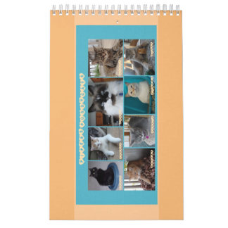 PipersPuddycats 2020 Calendar