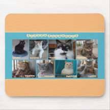 PipersPuddycats Mouse Pad