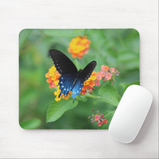 Pipevine/Blue Swallowtail Butterfly on a Flower Mouse Pad