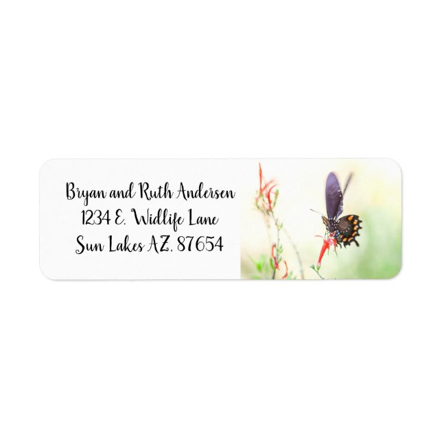 Pipevine  Swallowtail butterfly in afternoon light Return Address Label (Front)