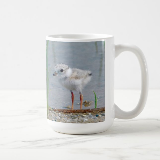 Piping Plover Coffee Mug (Right)