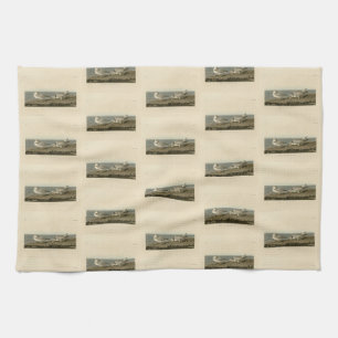 Piping Plover from Audubon's Birds of America Tea Towel
