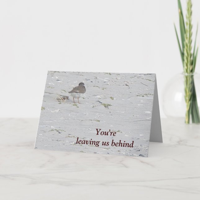 Piping Plover Good-bye From Group Card (Front)