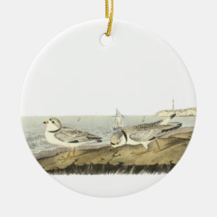 Piping Plover, John Audubon Ceramic Ornament