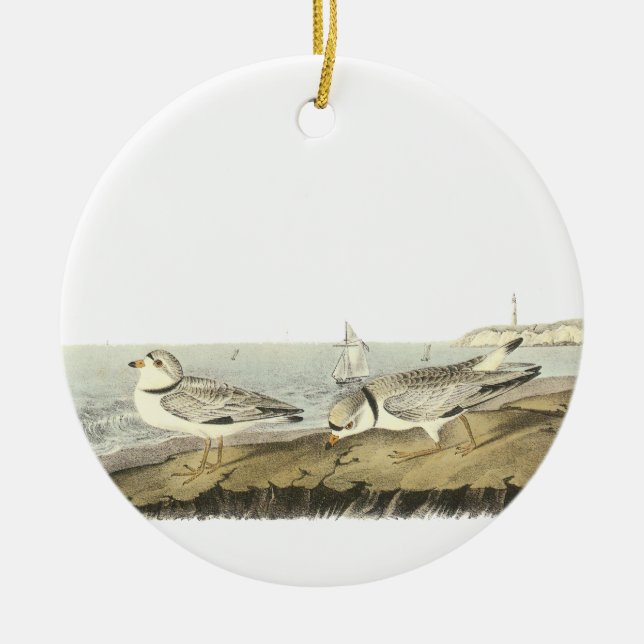 Piping Plover, John Audubon Ceramic Ornament (Front)